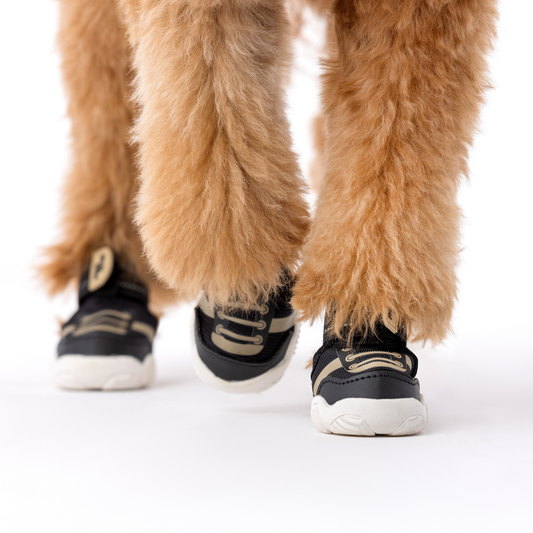 Paws By Kai Dog Sneakers - Durable Sport Shoes with Straps
