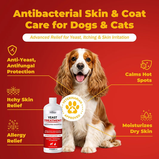 Wags & Whiskers Anti-Itch Oatmeal Dog Shampoo - 16oz