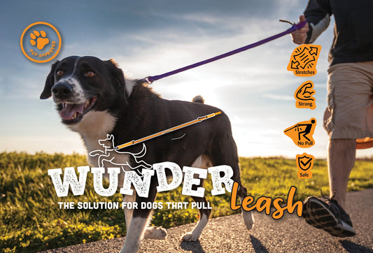 WACKYwalk'r WUNDERleash No-Pull Dog Leash - 4-7 ft Shock Absorbing