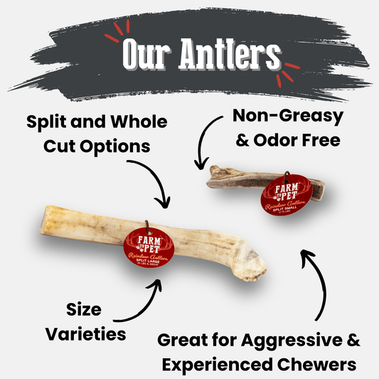 Farm to Pet Organic Reindeer Antler Dog Chews - Wild Alaskan