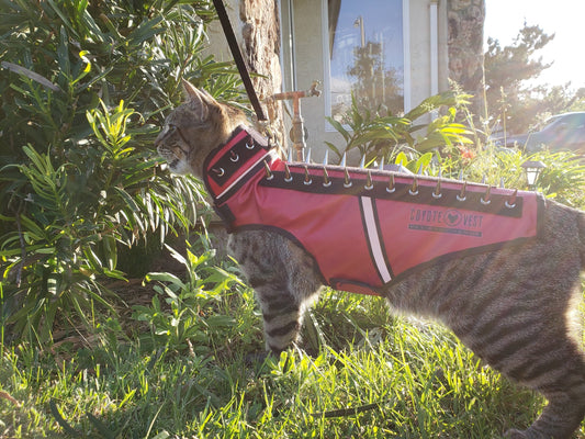 SpikeVest Puncture Resistant Predator Protection Cat Vest