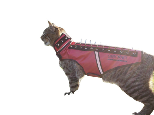SpikeVest Puncture Resistant Predator Protection Cat Vest