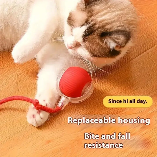 Pet Toy Ball with Tail Rope,Smart Automatic Pet Chase Ball Toy, Upgraded Speedy Tail Kitten Toy for Bored Indoor Adult Pets