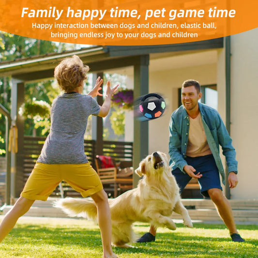 Premium Ultradurable Football Tennis Ball Shaped Dog Toys