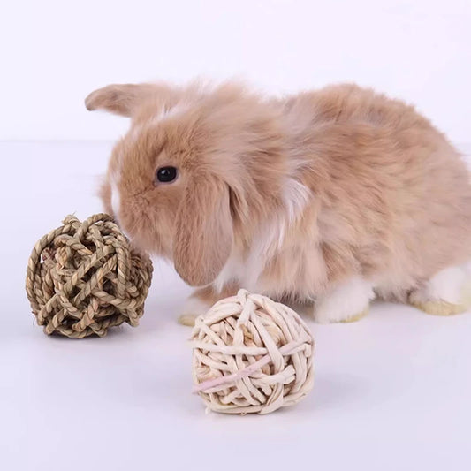 2pcs Small Animals Play Balls Rolling Activity Chew Toys Gnawing Treats for Rabbits Guinea Pigs Chinchilla Bunny Natural Balls