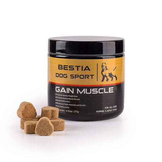 BDS Gain Muscle Dog Food Supplement - Amino Acid Formula