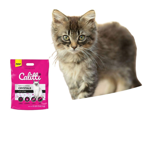 Calitti Crystals Silica Gel Cat Litter - Non-Clumping 8 lbs