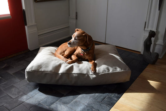 Hemp Dog Bed - Organic Natural Latex Foam Fill Orthopedic Support