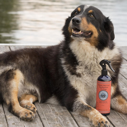 Nantucket Spider Bug Repellent Spray for Dogs - Essential Oil Blend
