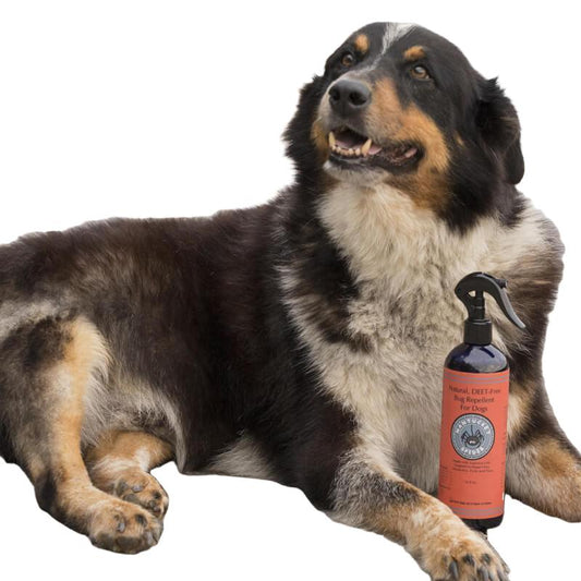 Nantucket Spider Bug Repellent Spray for Dogs - Essential Oil Blend