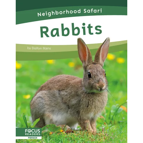 Rabbits - Paperback