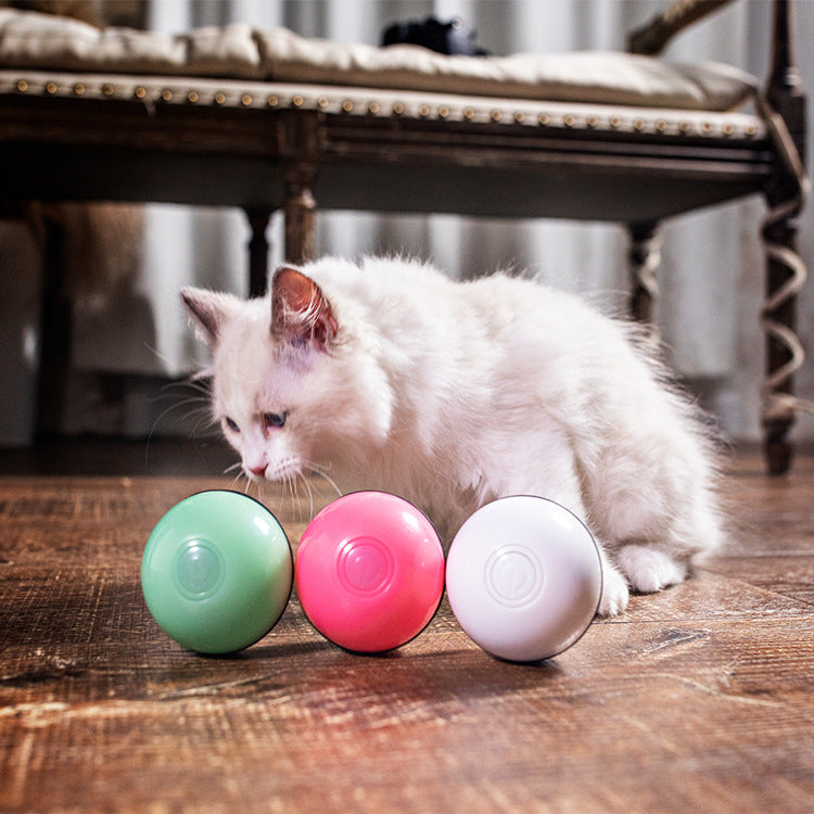USB laser funny cat toy