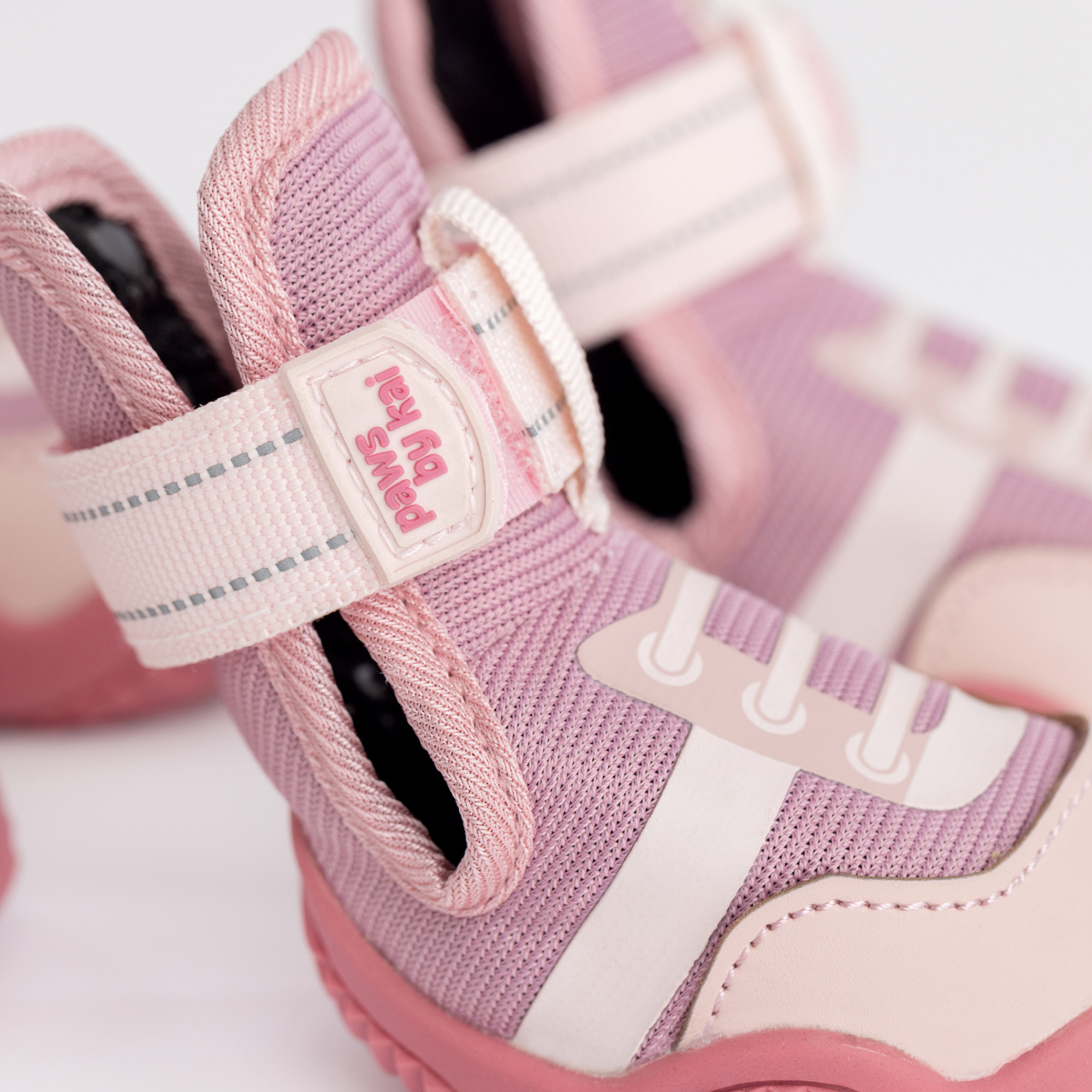 The Kai- Dog Sneaker
