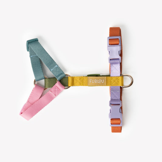 Rainbow Dog Harness - Lightweight with Gold Hardware