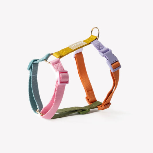 Rainbow Dog Harness - Lightweight with Gold Hardware