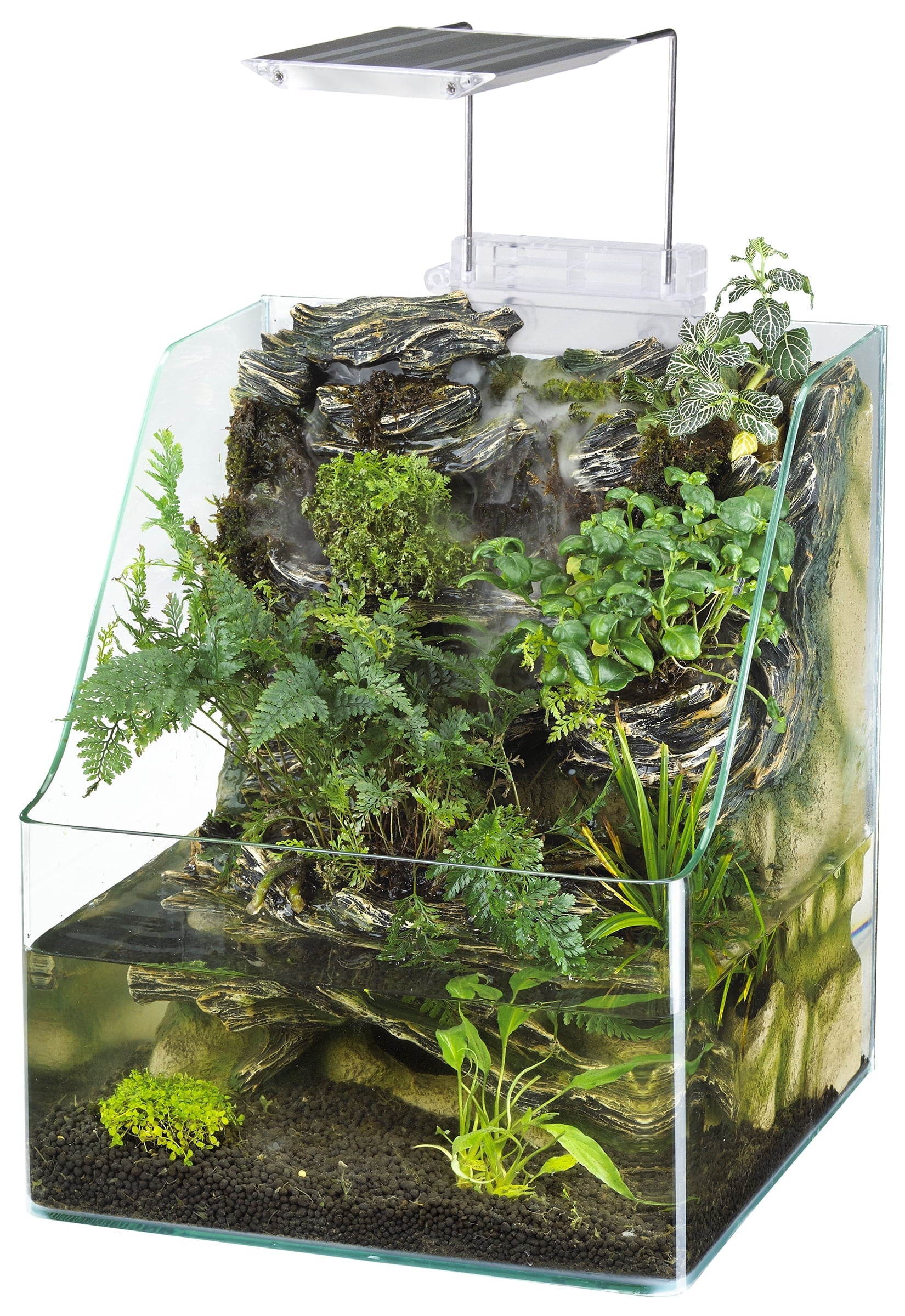 1.85 Gallons Glass Aquarium for Live Plants and Fish