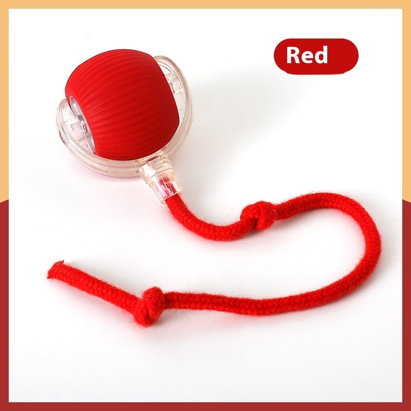 Interactive Cat Toy Ball – Super Drive Rolling Toy