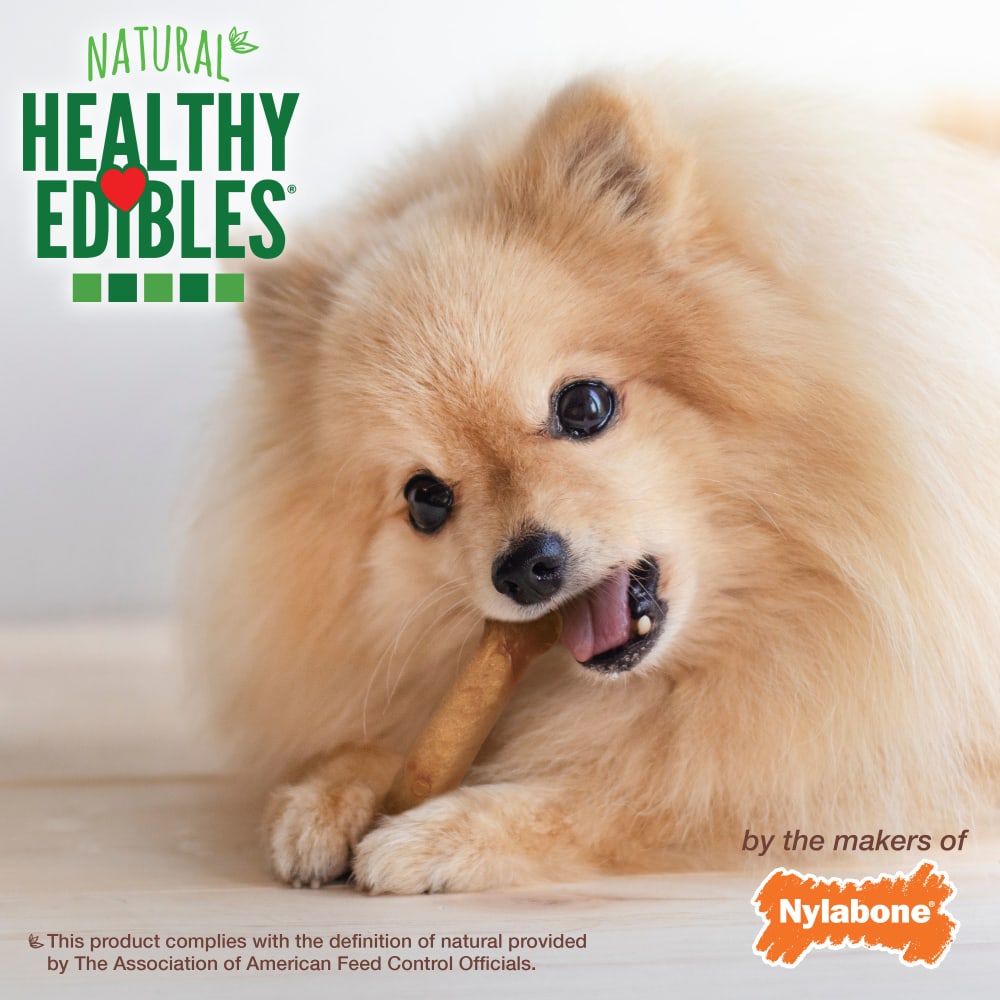 Nylabone Healthy Edibles Bacon Bone Chew Treats (6.2oz)