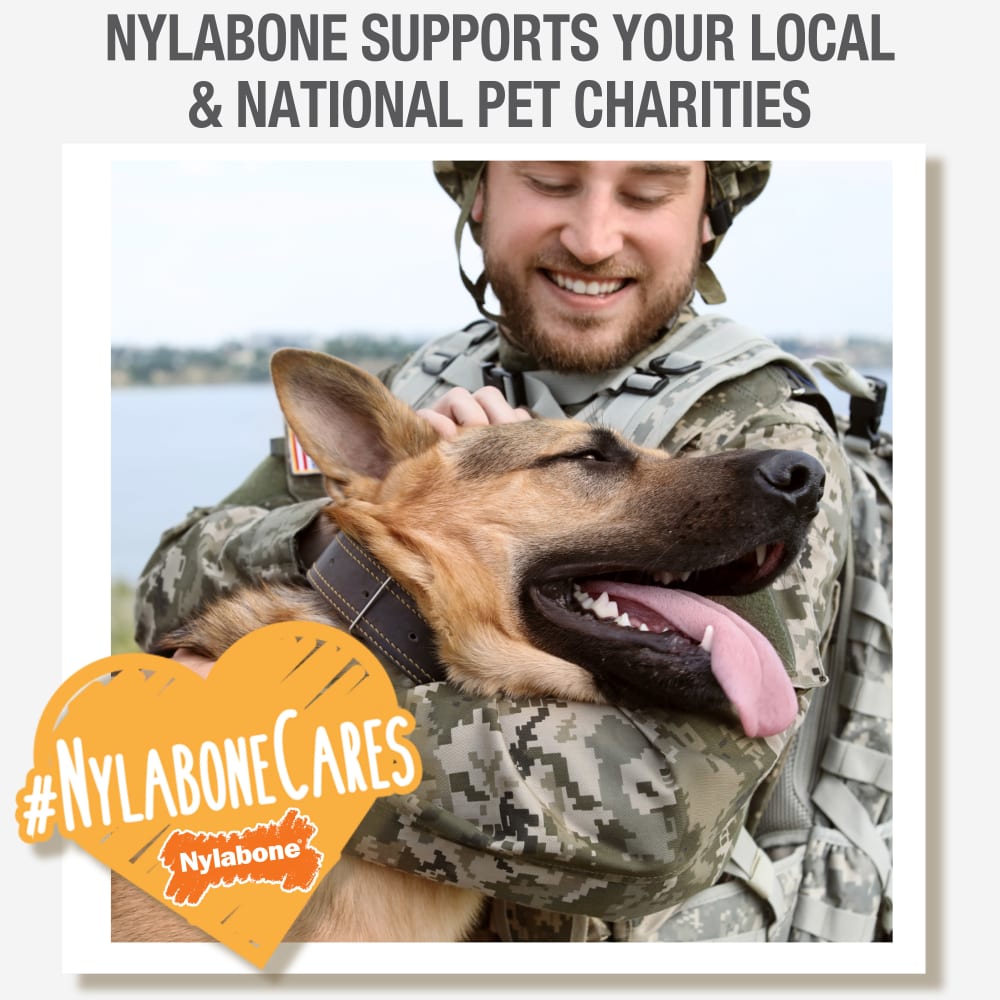 Nylabone Healthy Edibles Bacon Bone Chew Treats (6.2oz)