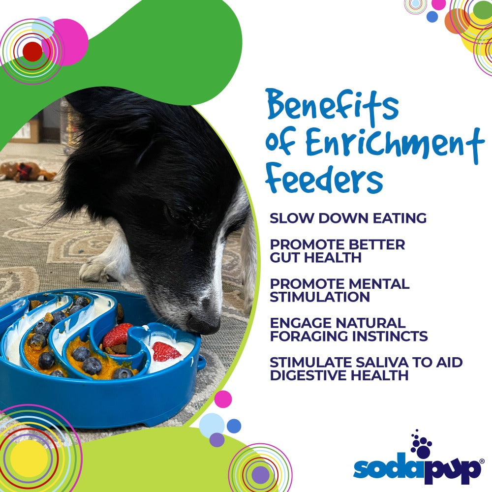 Wave eBowl Deep Slow Feeder Dog Bowl for Enrichment | Made in USA