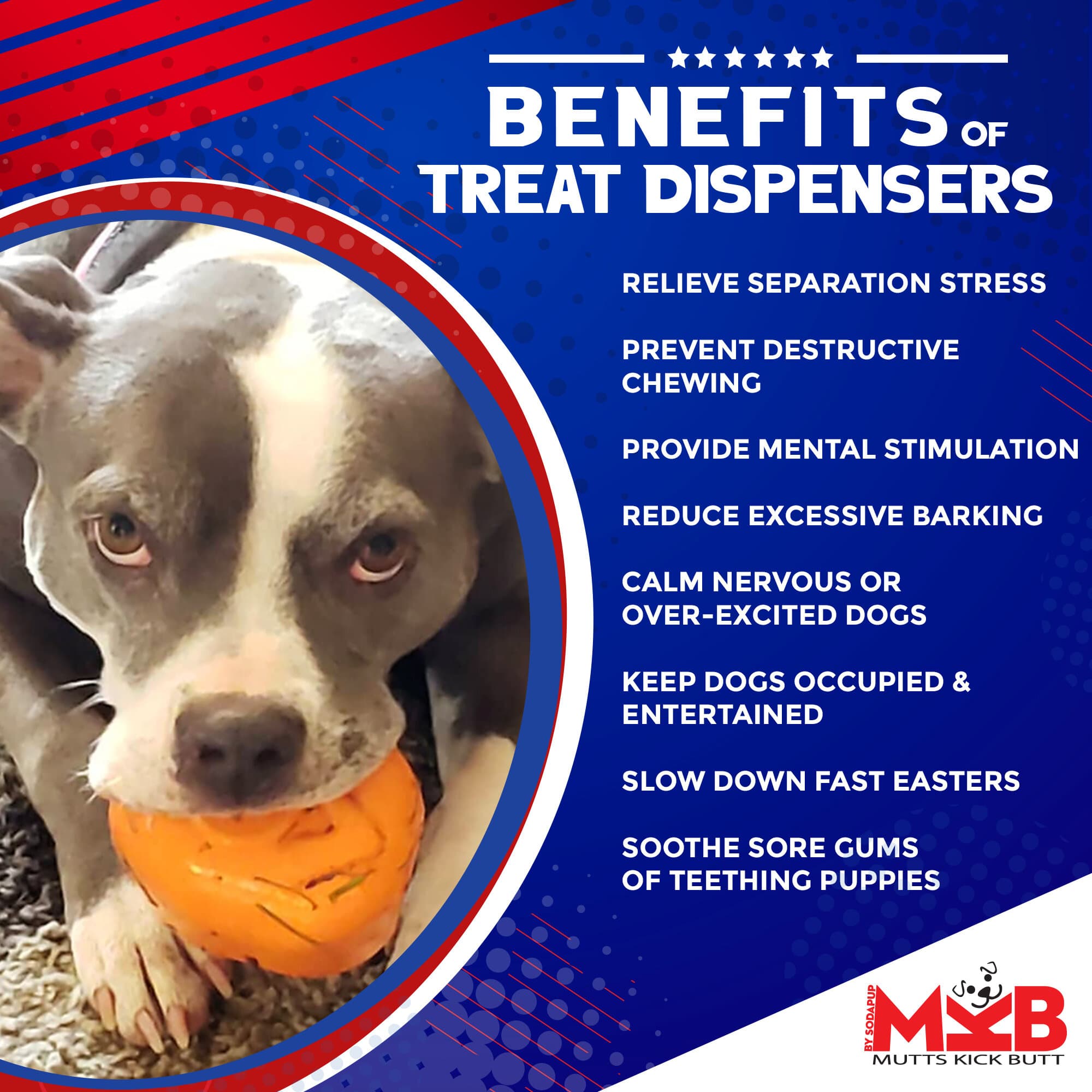 Roasted Turkey Dog Chew Toy & Treat Dispenser - USA Made | SodaPup