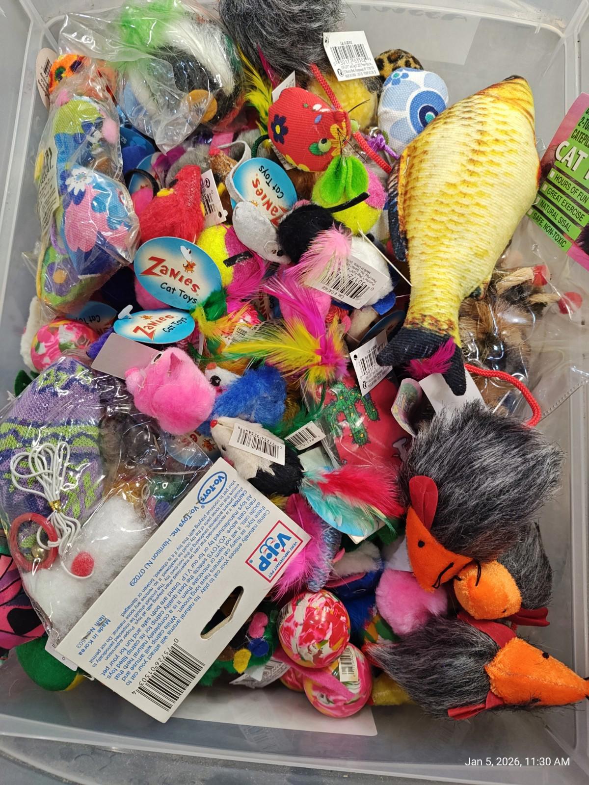Cat Toys  Bulk 40 Toys Many Nice Brands Always Different Selection
