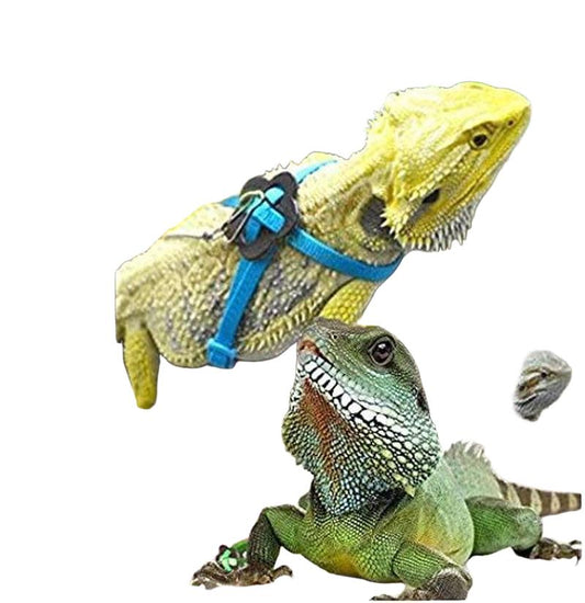 Adjustable Reptile Lizard Harness and Leash - Random Color
