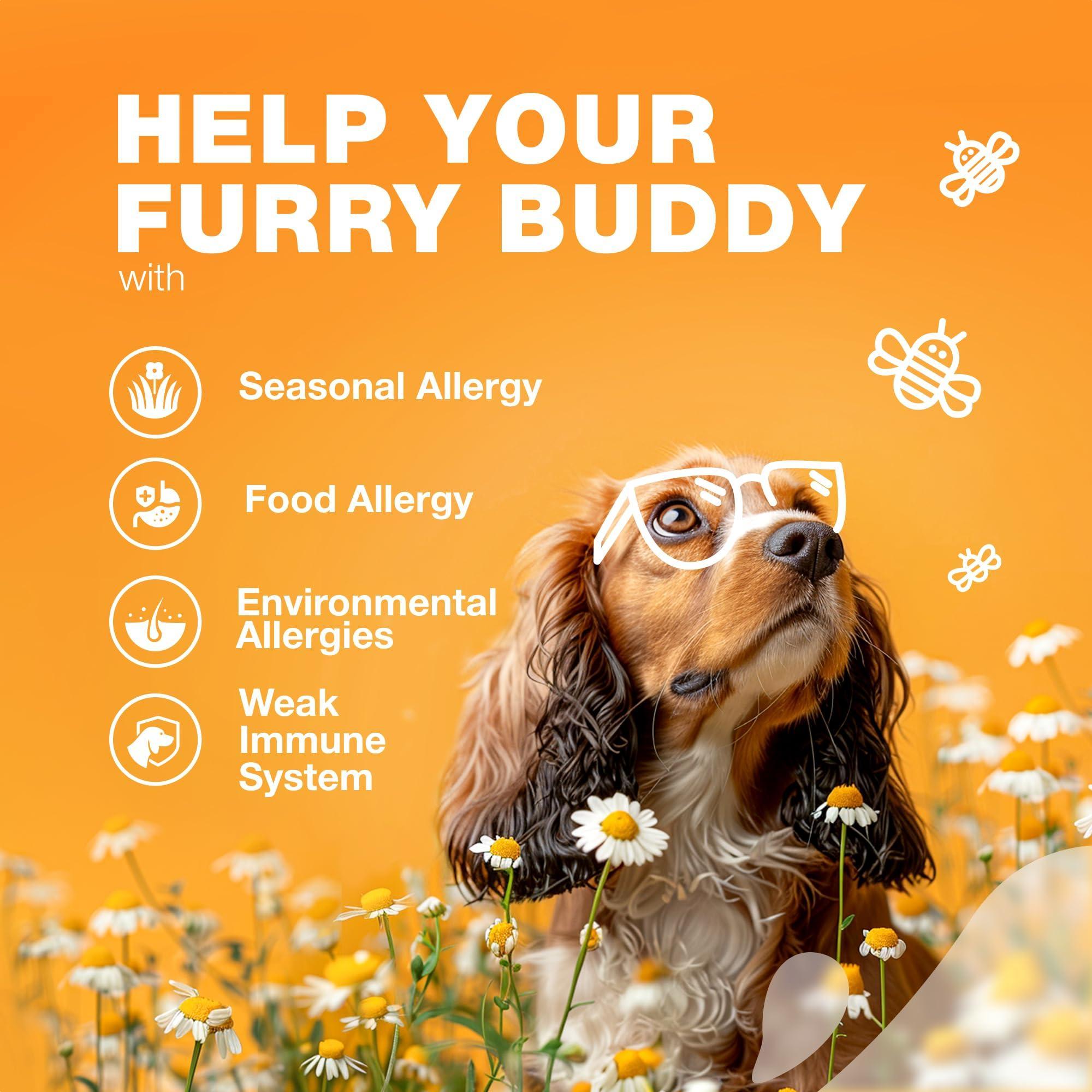 Dog Allergy Relief Chews Itch Relief for Dogs Anti Itch Dog Allergy Chews US