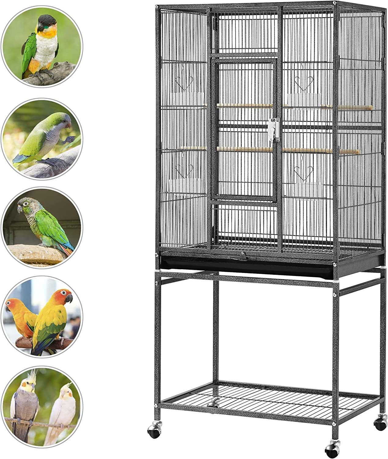 54-Inch Wrought Iron Standing for Large Parrot