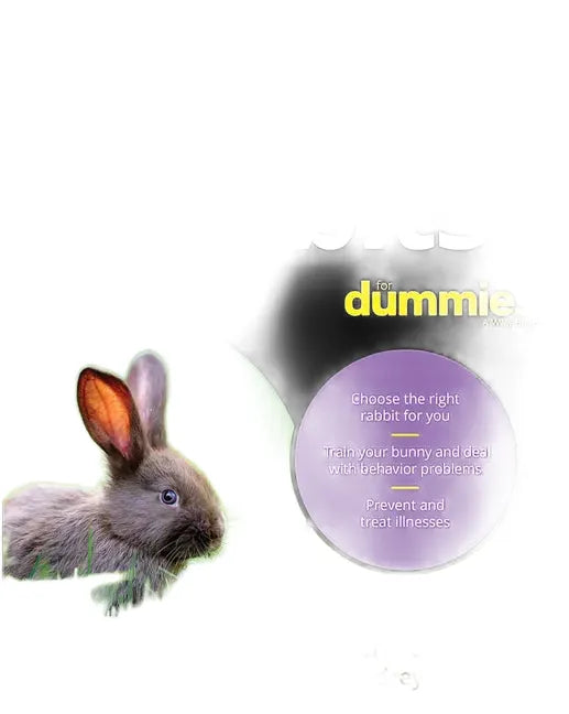 Rabbits For Dummies - Paperback Guide to Rabbit Care