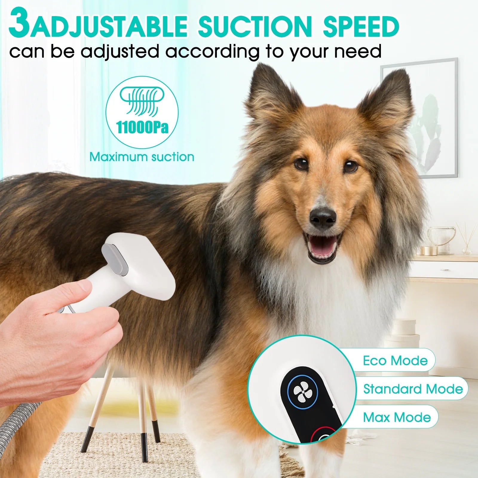 5 in 1 Pet Grooming Kit & Vacuum