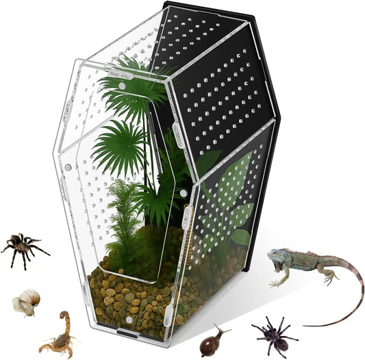Acrylic Jumping Spider Coffin Terrarium - Clear 9.5" Habitat