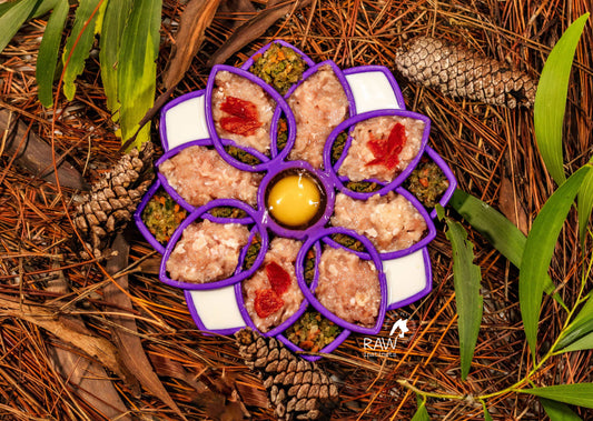 Raw Instincts Raw Chicken & Turkey PMR Pet Food Blend