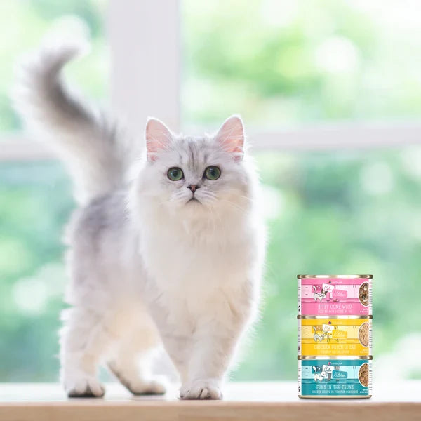 Cats in the Kitchen Splash Dance Chicken and Ocean Fish Recipe Au Jus