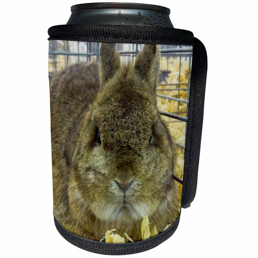 3dRose USA, Indiana, Indianapolis. Portrait of caged rabbit. - Can Cooler Bottle Wrap (cc_331444)