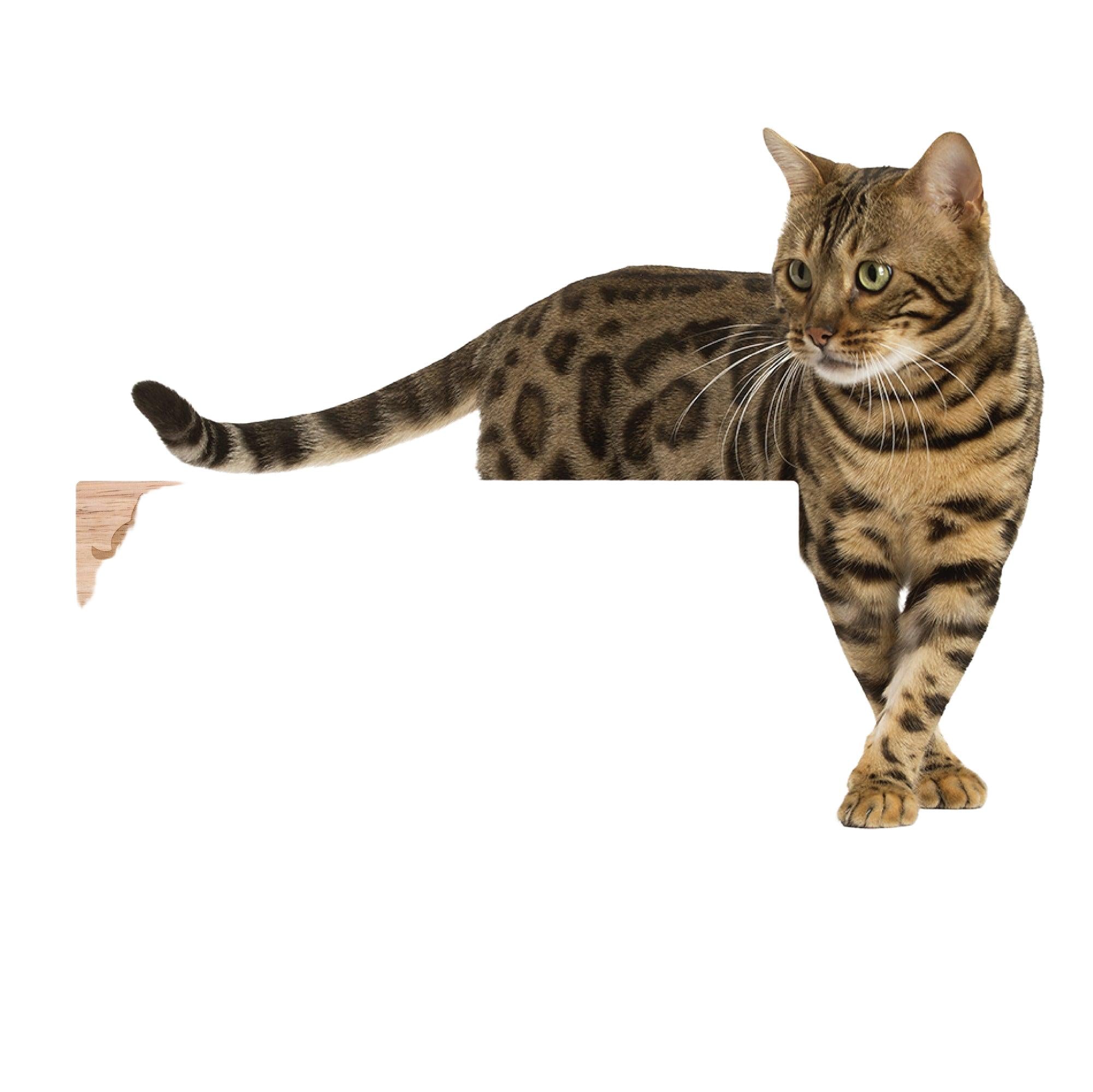 Cat Nail File Enrichment Box - Oak Wood Scratching Toy