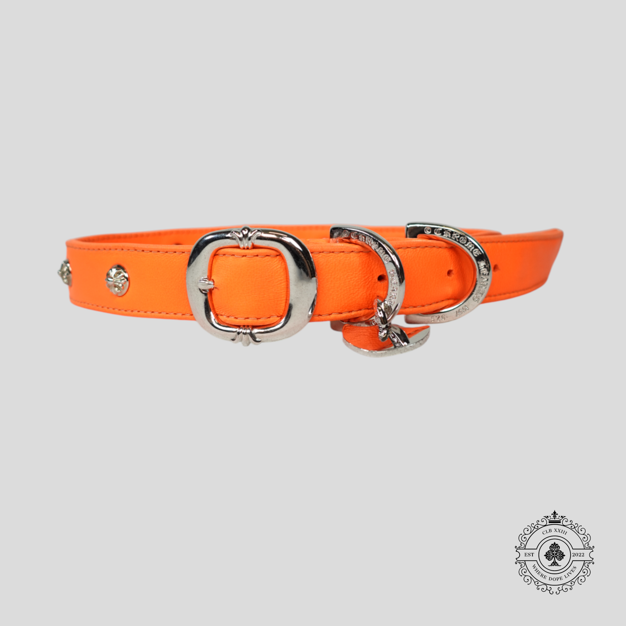 Chrome Hearts Leather Dog Collar in Orange