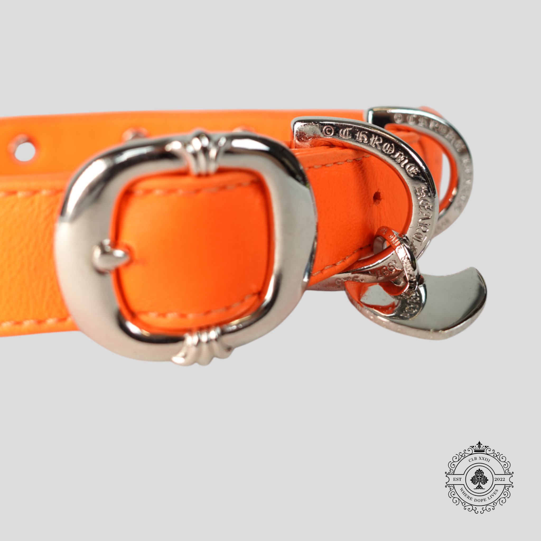 Chrome Hearts Leather Dog Collar in Orange