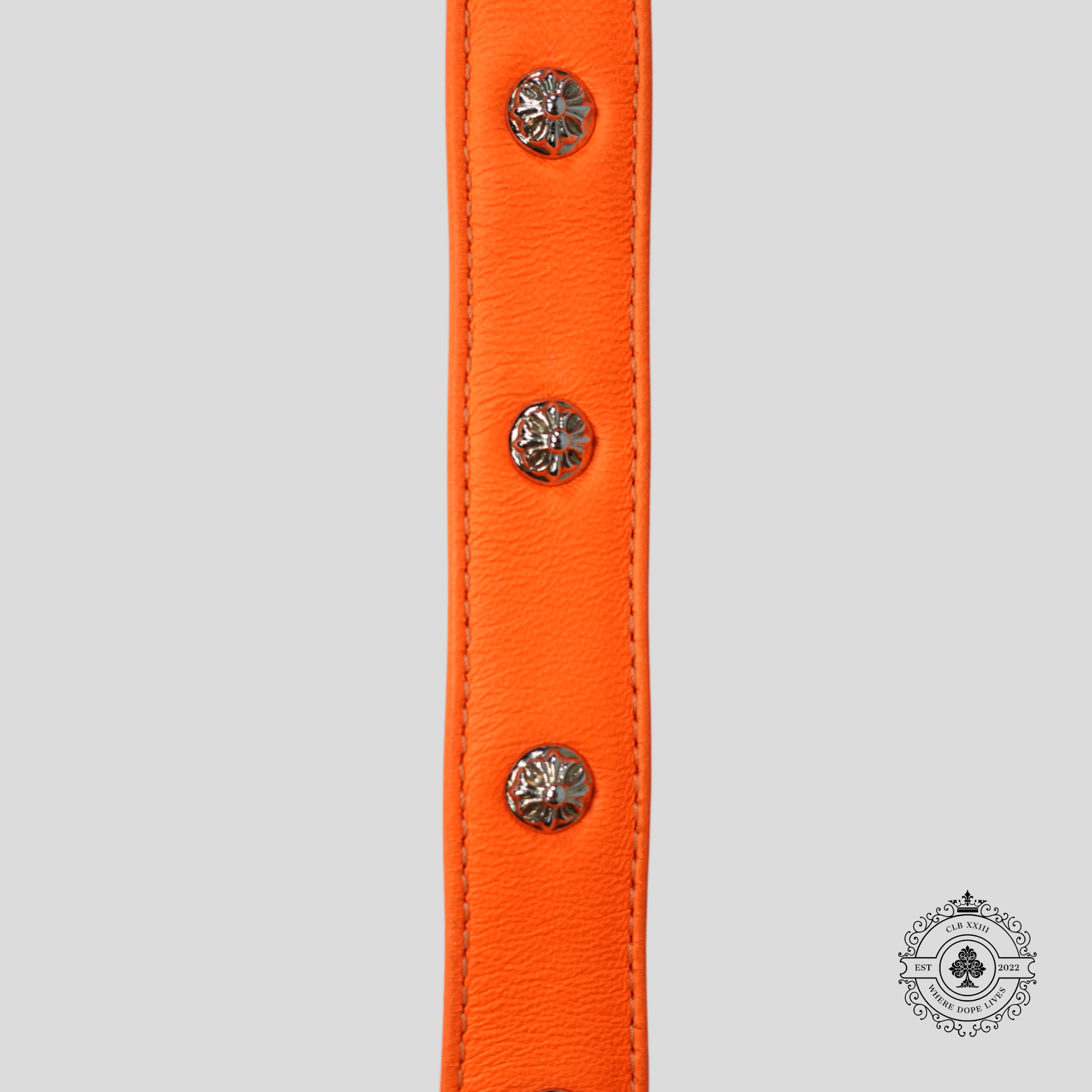 Chrome Hearts Leather Dog Collar in Orange