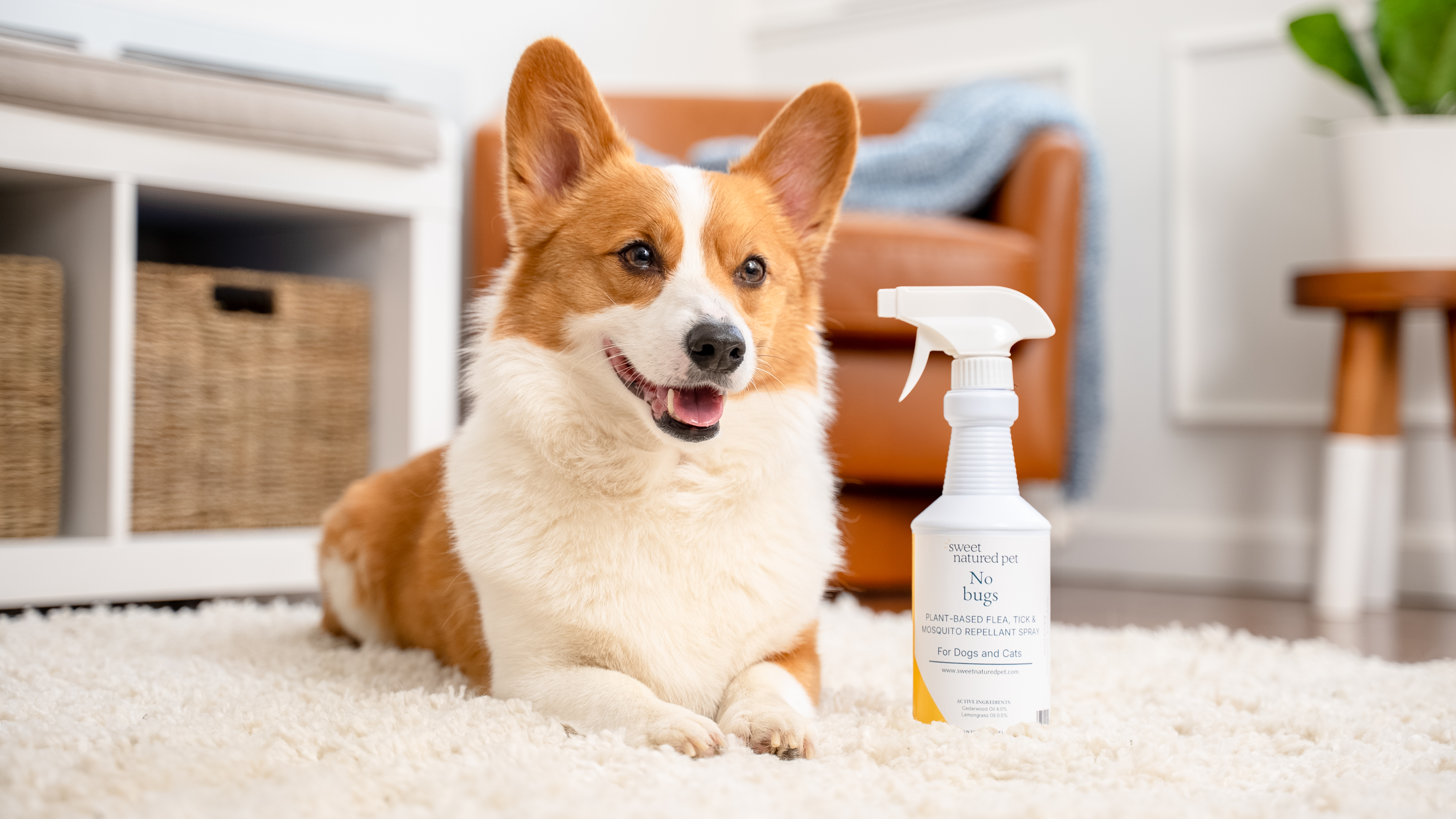 Flea, Tick & Mosquito Spray for Dogs & Cats