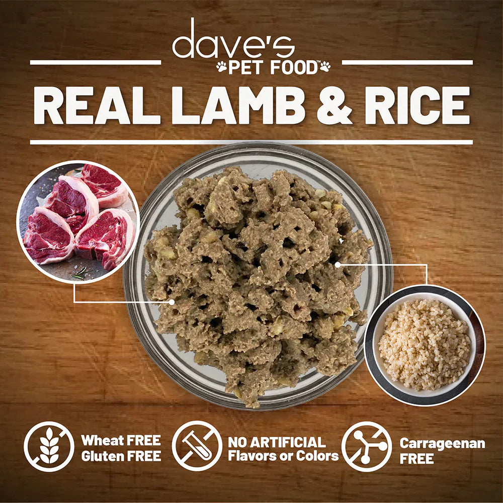 Dave's Restricted Diet Bland for Dogs – Lamb & Rice Formula (13.2oz)