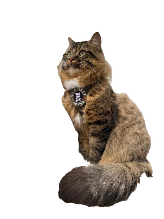 K9R M1 Lightspeed Cat Harness - Durable Military Style Harness