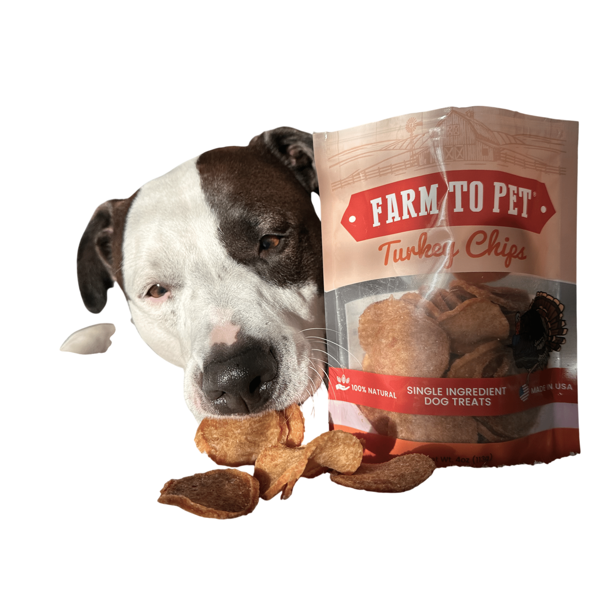 Turkey Chips for Dogs | All-Natural Single-Ingredient Healthy Dog Treats
