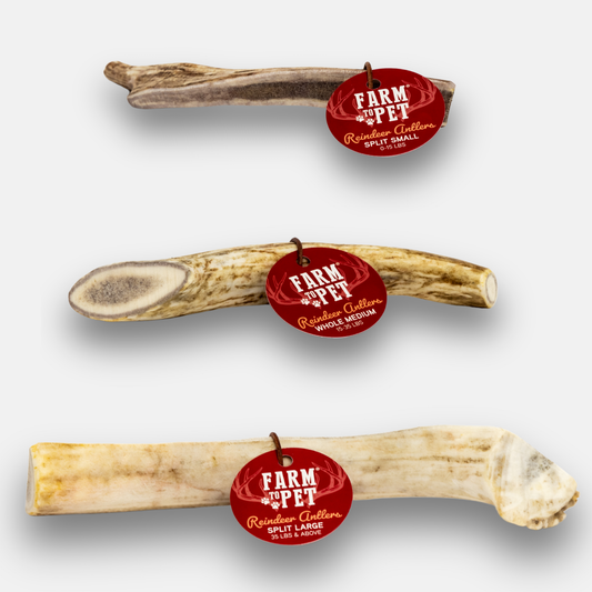 Farm to Pet Organic Reindeer Antler Dog Chews - Wild Alaskan