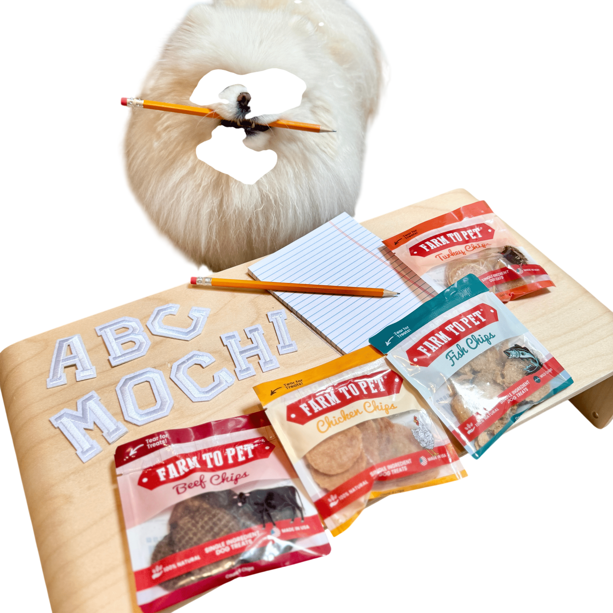 Snack Pack Dog Treat Sampler