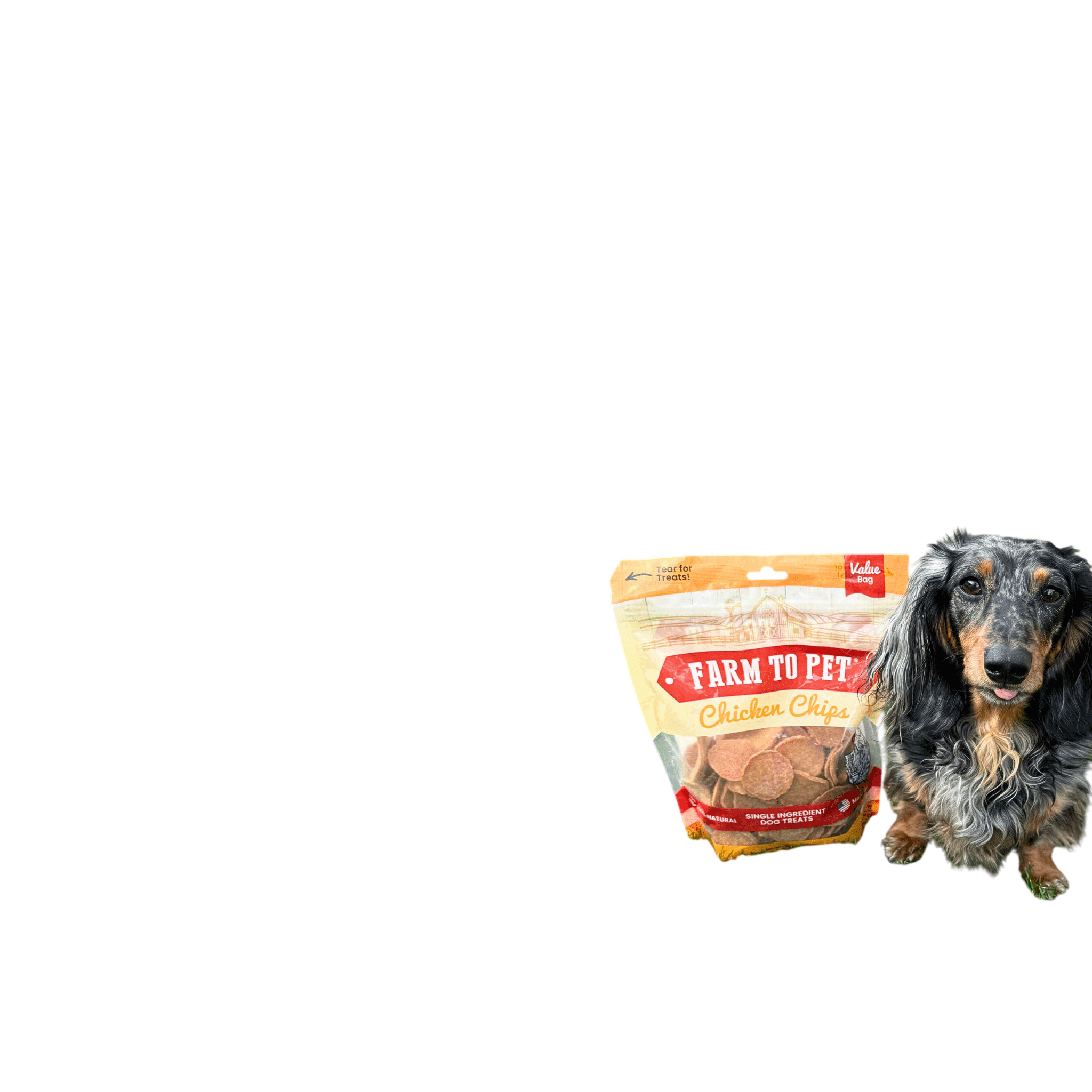 Chicken Chips for Dogs | All-Natural Single-Ingredient Dog Treats
