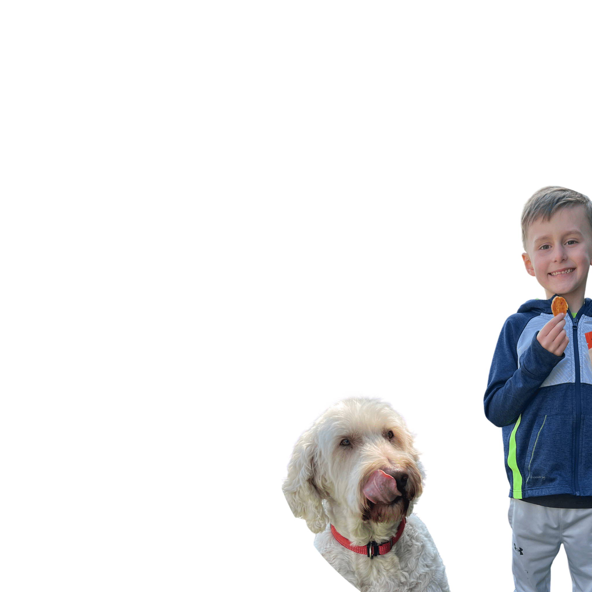 Turkey Chips for Dogs | All-Natural Single-Ingredient Healthy Dog Treats