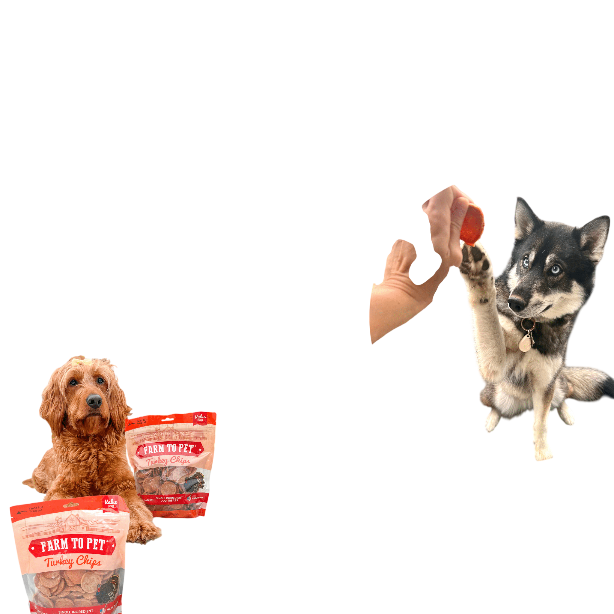Turkey Chips for Dogs | All-Natural Single-Ingredient Healthy Dog Treats