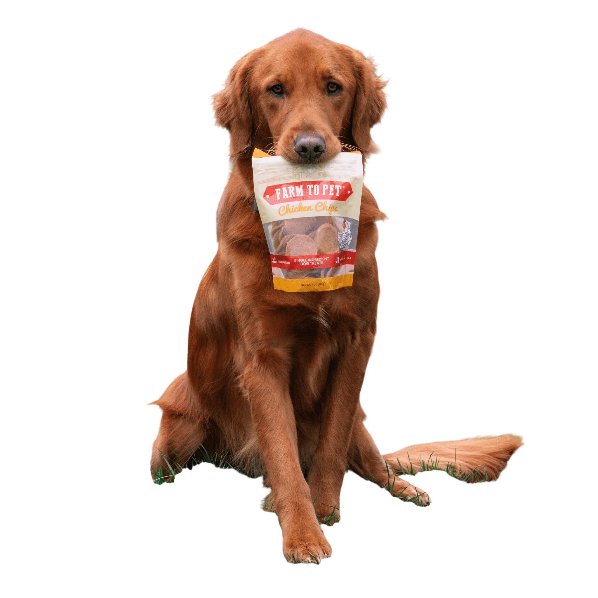 Chicken Chips for Dogs | All-Natural Single-Ingredient Dog Treats