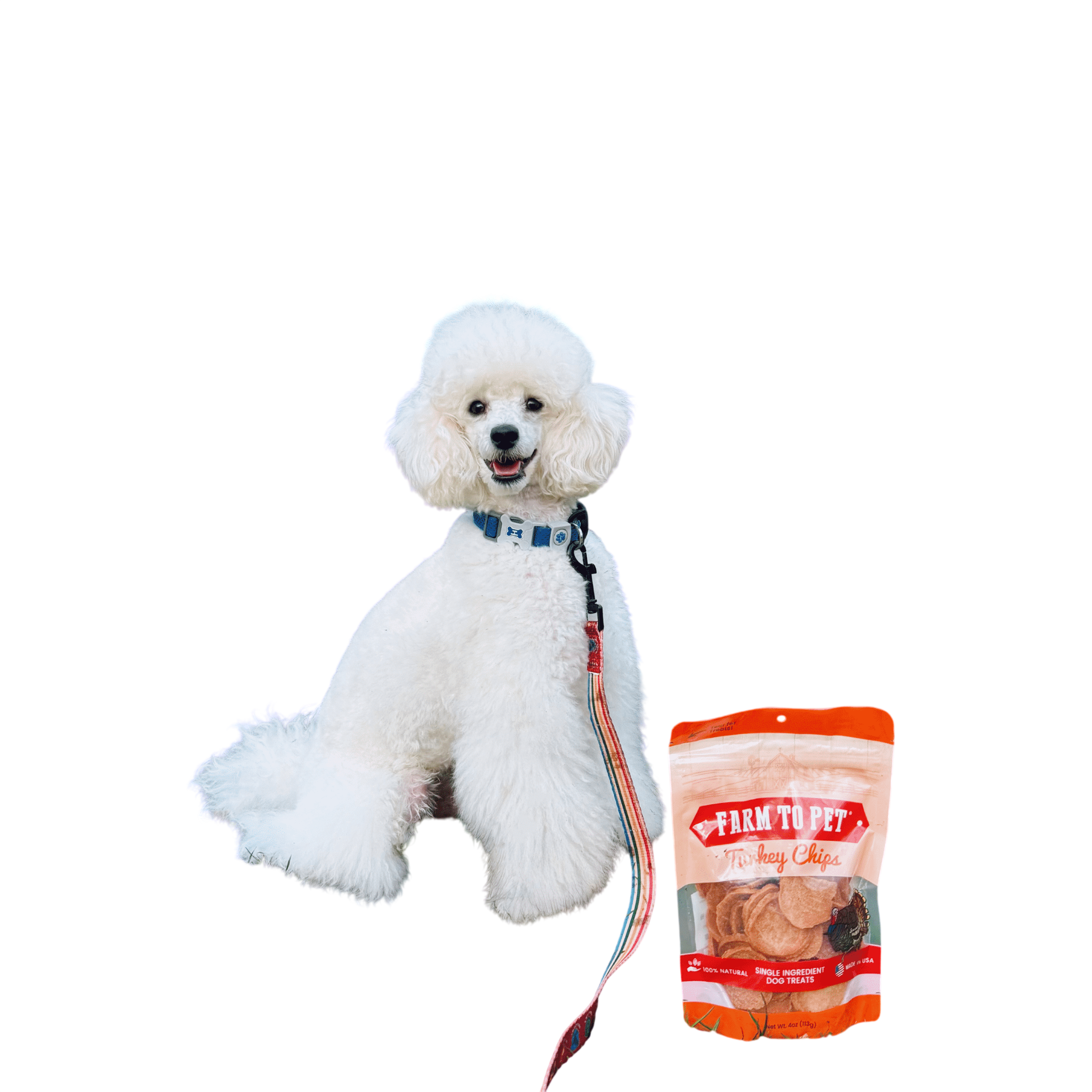 Turkey Chips for Dogs | All-Natural Single-Ingredient Healthy Dog Treats